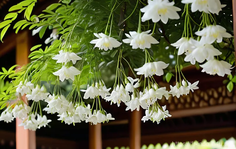 인도네시아의 대표적인 꽃 - The Pure Breath of Indonesia: Jasmine (Melati putih)** A serene and elegant image depicting a close...